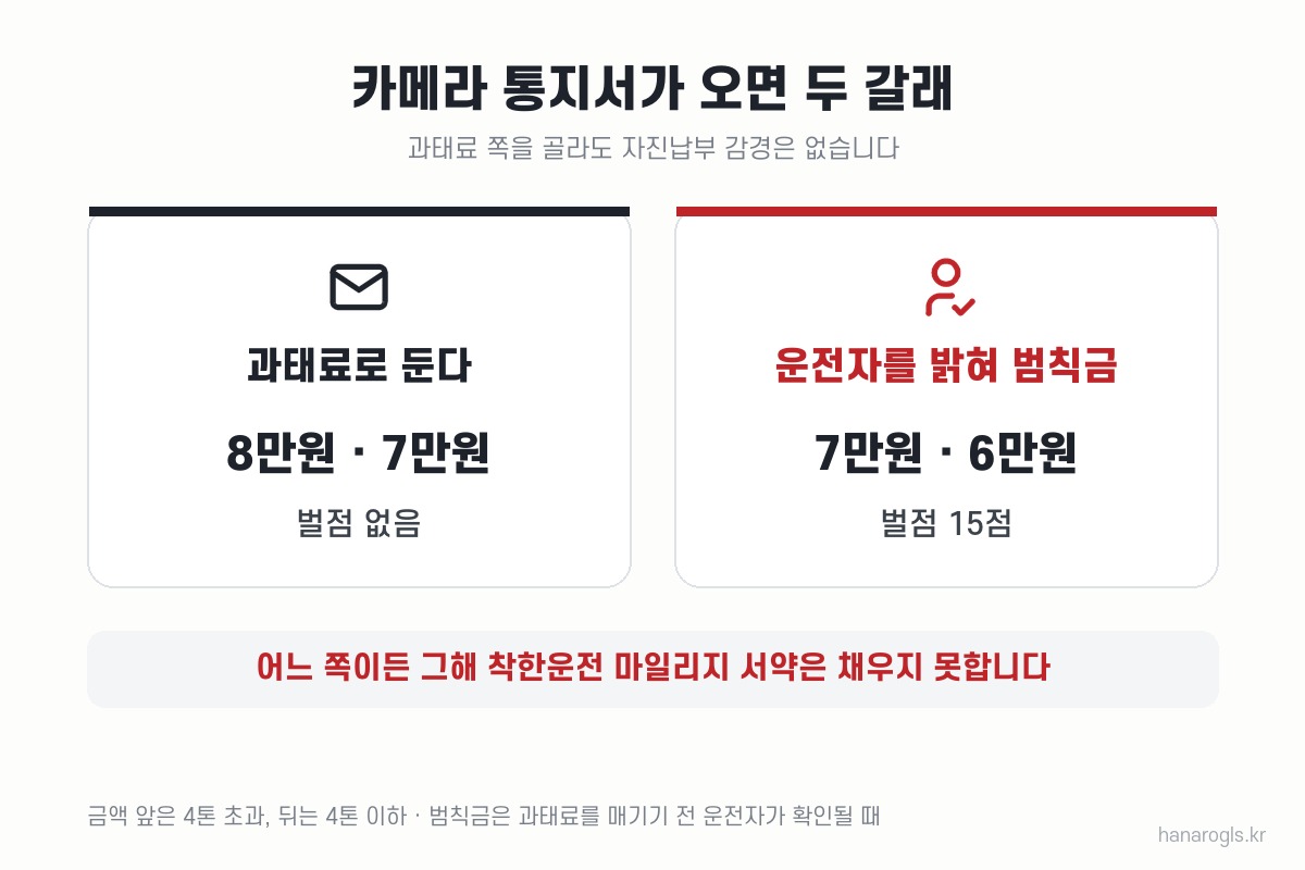 신호위반 무인단속 과태료와 범칙금 전환 비교