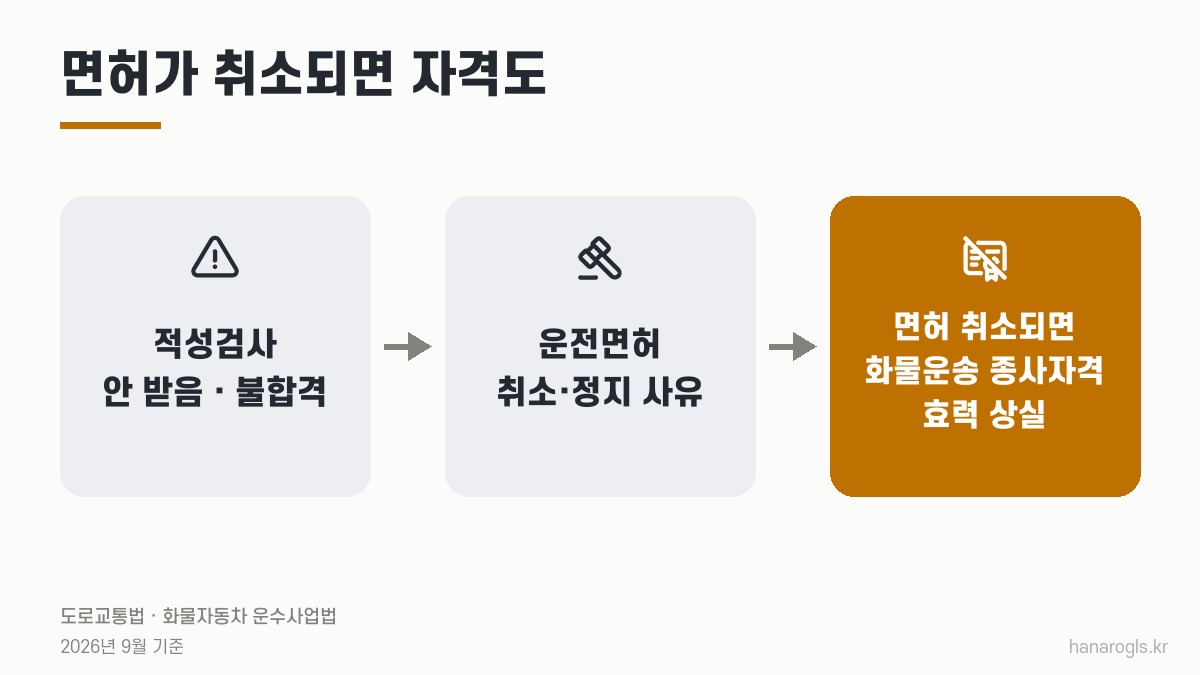 운전면허 적성검사를 놓치면 · 면허 취소 사유, 면허가 취소되면 화물운송 자격도 효력을 잃습니다
